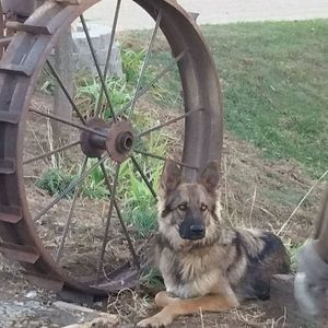 Meet your Posher, Mark n betty